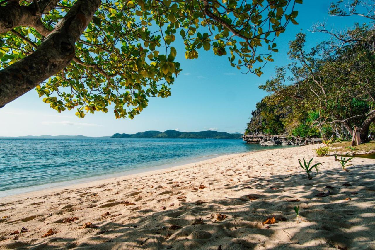 Sangat Island Dive Resort Coron Bagian luar foto