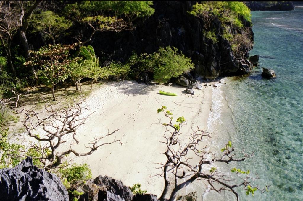Sangat Island Dive Resort Coron Bagian luar foto